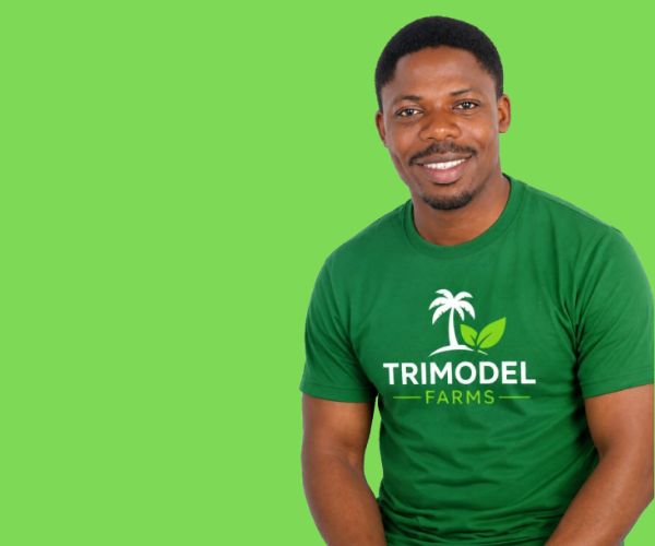 Trimodel Farms plantation view - Nigeria's leading coconut farm